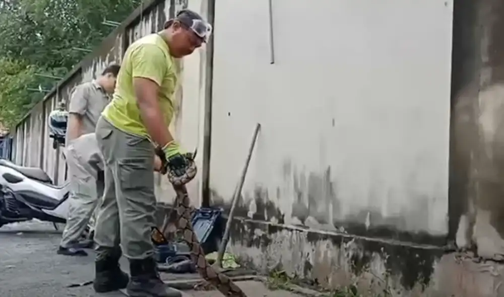 Desliza hacia la izquierda para ver las imágenes del video viral. Foto: Captura de YouTube.