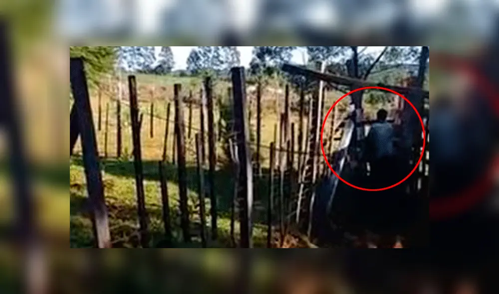 En YouTube, agricultor es captado mientras tiene sexo con vaca [VIDEO]
