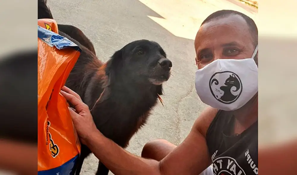 Desliza las imágenes para conocer la historia de un cartero quien ayuda a perros y gatos que viven en la calle. Foto: Instagram