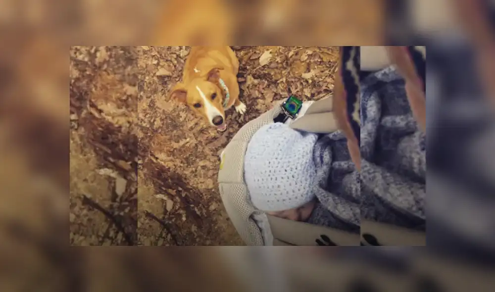 Desliza hacia la izquierda para ver más del video viral. Fotocaptura: YouTube Desliza hacia la izquierda para ver más del video viral. Fotocaptura: YouTube