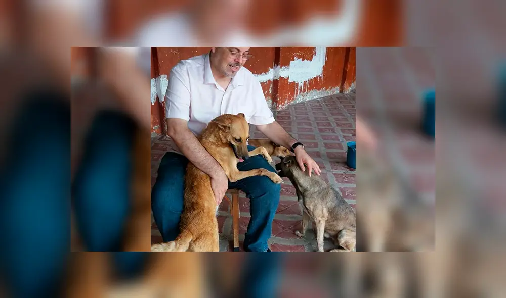 Brasil: Sacerdote realiza misa acompañados de perros para una noble misión [FOTOS]