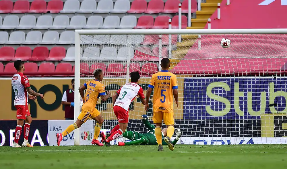 Necaxa vs. Tigres EN VIVO: sigue AQUÍ el partido por la fecha 1 del Torneo Apertura Liga MX. Foto: @TigresOficial