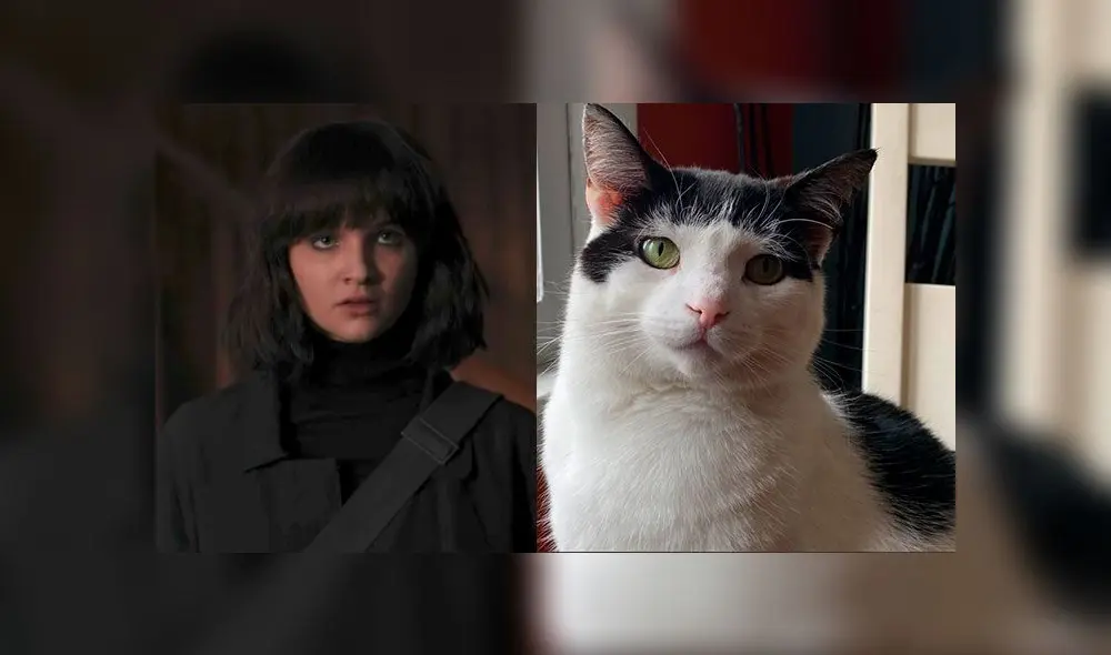 Así se verían los personajes de Dark si fueran gatitos. (Foto: Captura - Twitter: @NetflixLAT)