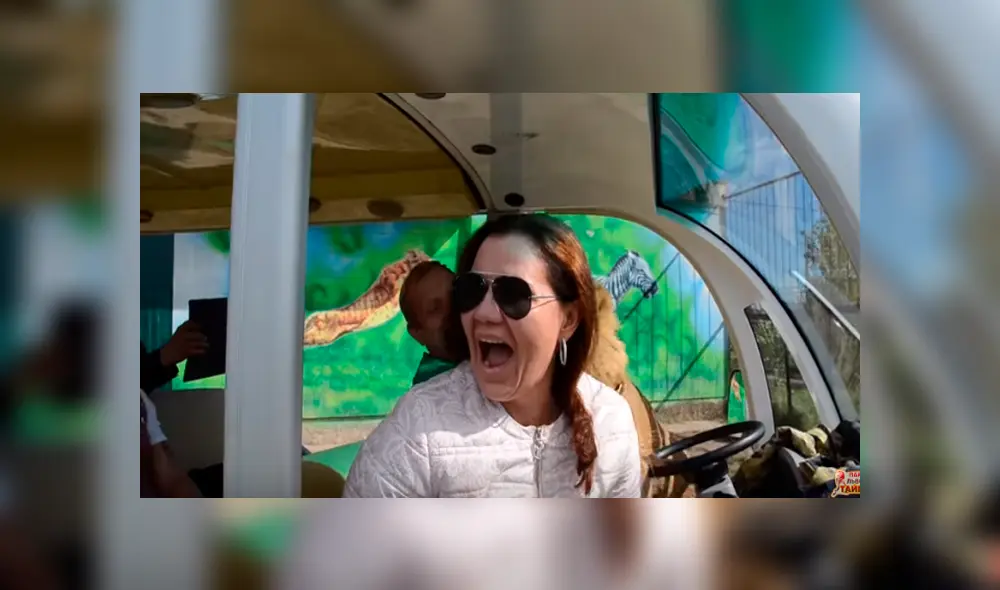 Desliza hacia la izquierda para ver la inesperada bienvenida que le dio un enorme león a una turistas que hacía safari. El video es viral en YouTube. Desliza hacia la izquierda para ver la inesperada bienvenida que le dio un enorme león a una turistas que hacía safari. El video es viral en YouTube.