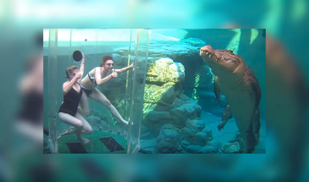 YouTube viral: chicas se sumergen en santuario de enorme cocodrilo y quedan horrorizadas 