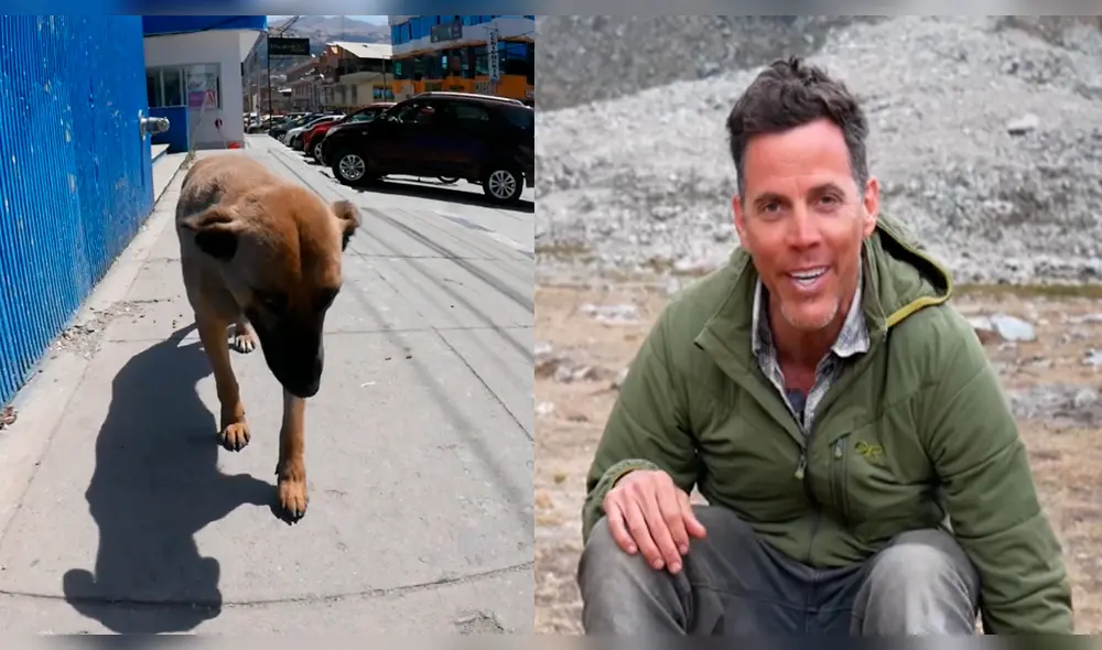Facebook: Steve-O conoció a perrita callejera en Perú y tuvo aplaudida acción [VIDEO]