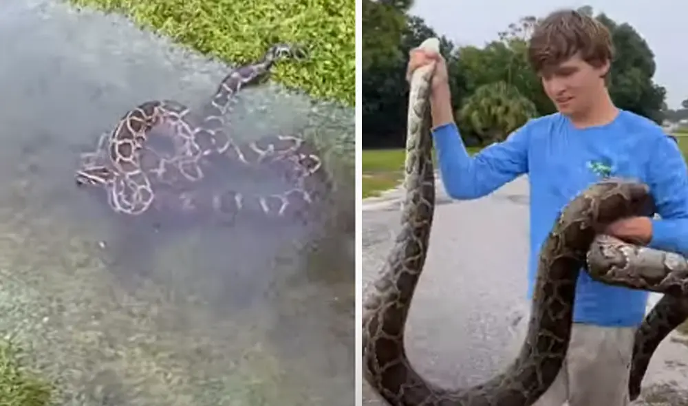 Desliza hacia la izquierda para ver las imágenes del viral de Facebook. Foto: ViralHog.