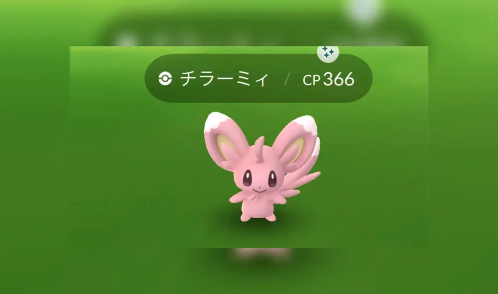 Minccino shiny ya tuvo su evento en Oceanía y Asia. Minccino shiny ya tuvo su evento en Oceanía y Asia.