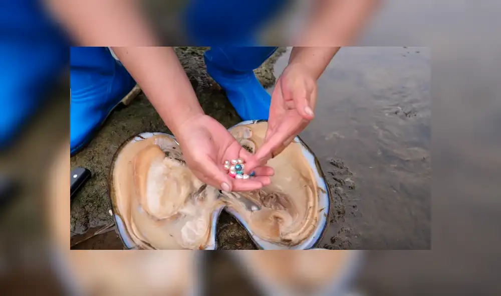 Desliza a la izquierda para ver el descubrimiento que ha sorprendido a los usuarios de YouTube. Foto: Captura. Desliza a la izquierda para ver el descubrimiento que ha sorprendido a los usuarios de YouTube. Foto: Captura.