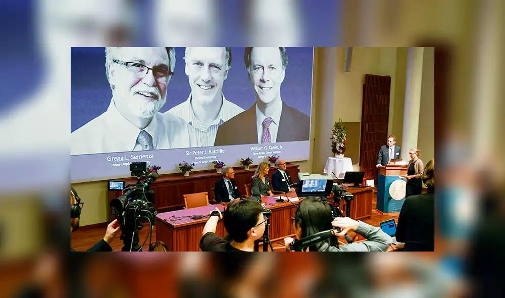 Nobel de Medicina 2019 abre caminos en la lucha contra anemia y cáncer