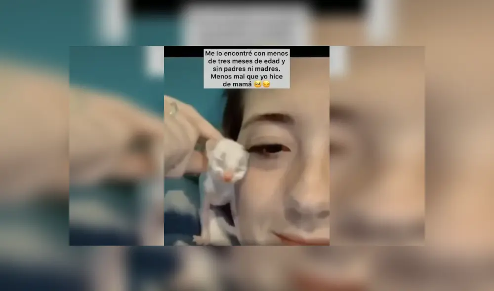 Desliza las imágenes para apreciar el noble gesto de una joven tras acoger a un indefenso gato en deplorables condiciones. Fotocaptura: Facebook.