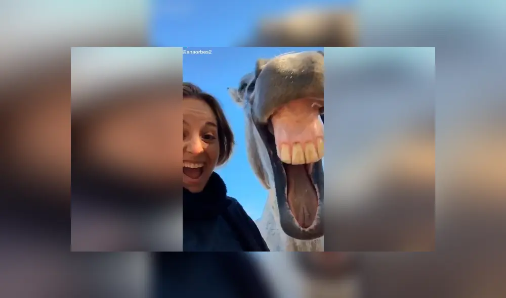Tiktok viral: intenta tomarse ‘selfie’ con caballo y este tiene efusiva reacción que arruina fotografía