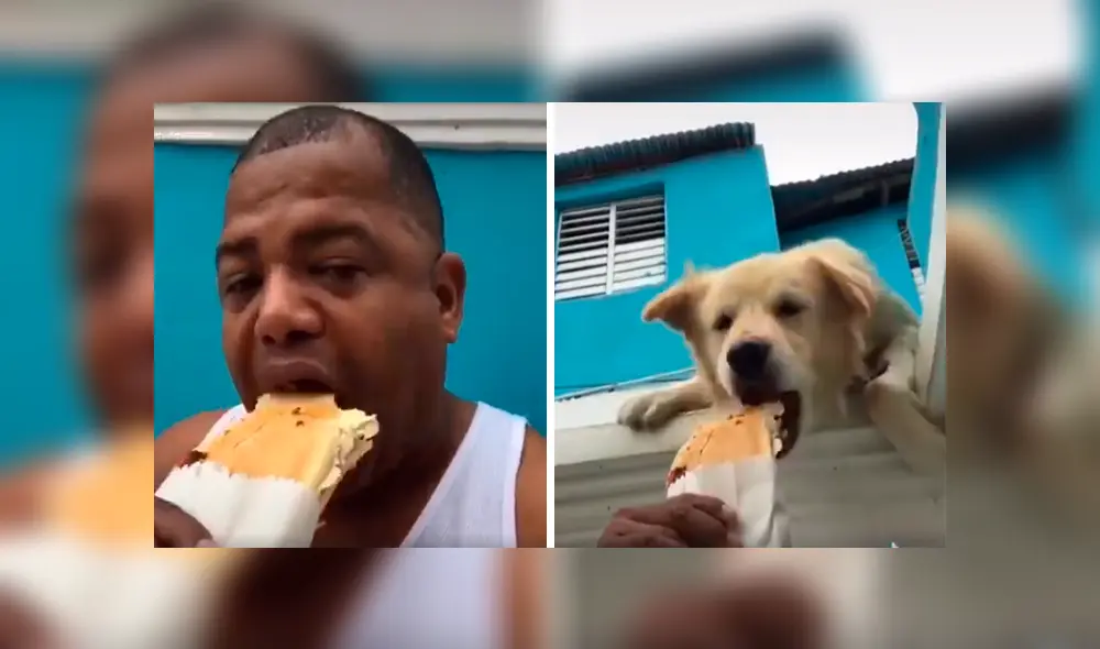 Desliza las imágenes hacia la izquierda para observar la travesura que cometió un perro ante un descuido de su dueño. Desliza las imágenes hacia la izquierda para observar la travesura que cometió un perro ante un descuido de su dueño.