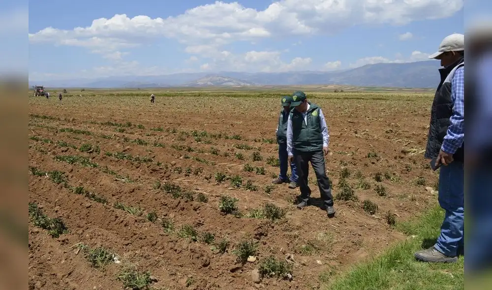Midagri: Máximo en una semana se publicará primer listado de beneficiarios del bono por sequía