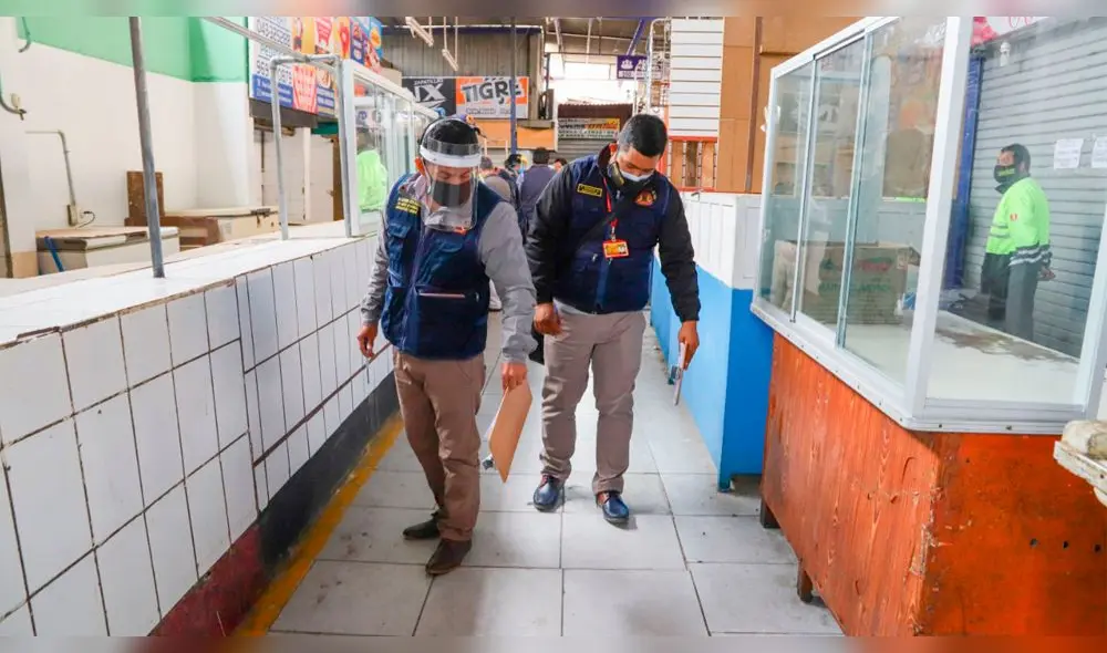 coronavirus coronavirus