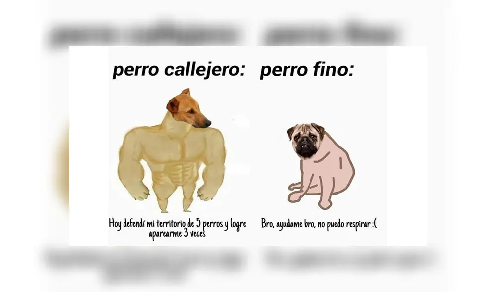 Desliza para ver los memes que se viralizaron en Facebook. Foto: Captura.