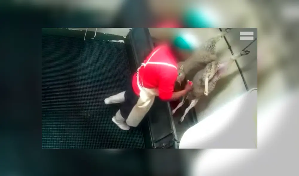 El video fue difundido por la ONG Equali. (Foto: Captura) El video fue difundido por la ONG Equali. (Foto: Captura)