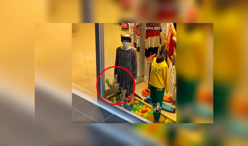 Desliza a la izquierda para conocer el nuevo viral de YouTube. Foto: Captura.