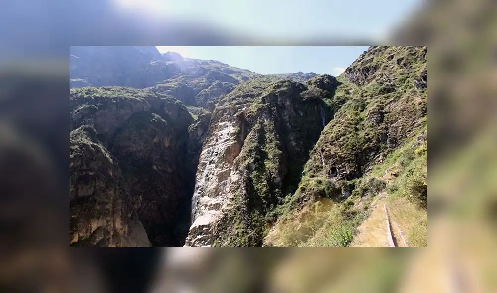 Conoce el último refugio de cóndores a solo 4 horas de Lima