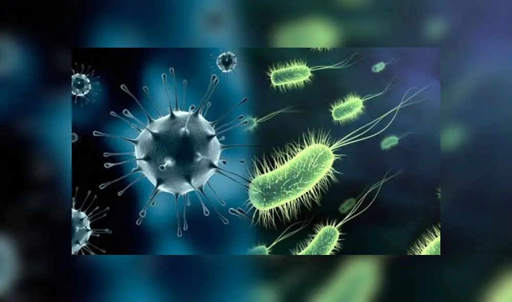 La fascitis necrosante ataca el tejido humano y puede ser mortal. Foto: Difusión La fascitis necrosante ataca el tejido humano y puede ser mortal. Foto: Difusión