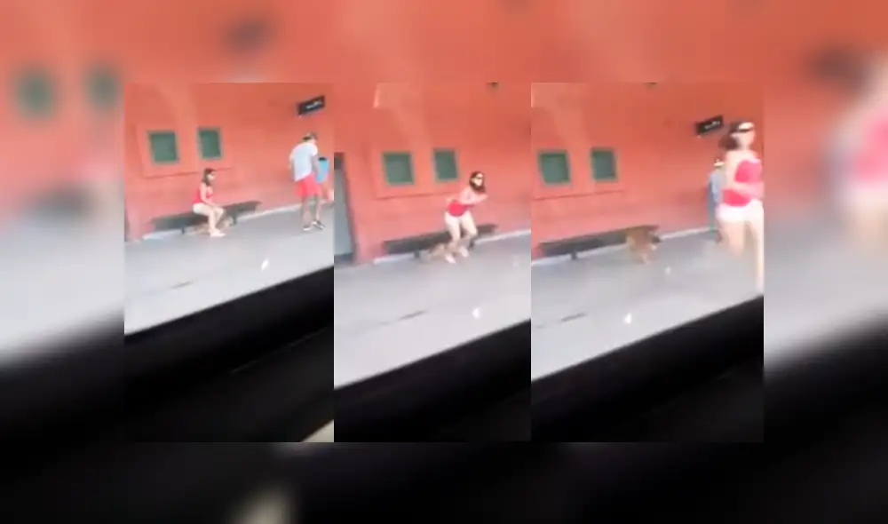 YouTube viral: mujer abandonó entre lágrimas a su perro en estación y es criticada en redes [VIDEO]