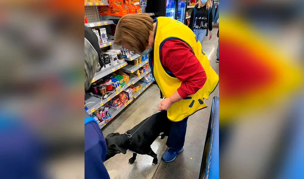 Desliza las imágenes para conocer la conmovedora historia de una perrita se reencontró con su dueña tras desaparecer por días. Foto: Facebook
