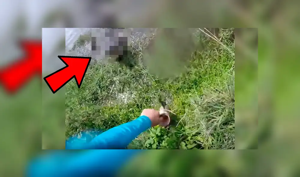Video de Youtube muestra el aterrador momento que vivió un pescador cuando fue sorprendido por un enorme cocodrilo que salió intempestivamente de un lago para atacarlo Video de Youtube muestra el aterrador momento que vivió un pescador cuando fue sorprendido por un enorme cocodrilo que salió intempestivamente de un lago para atacarlo