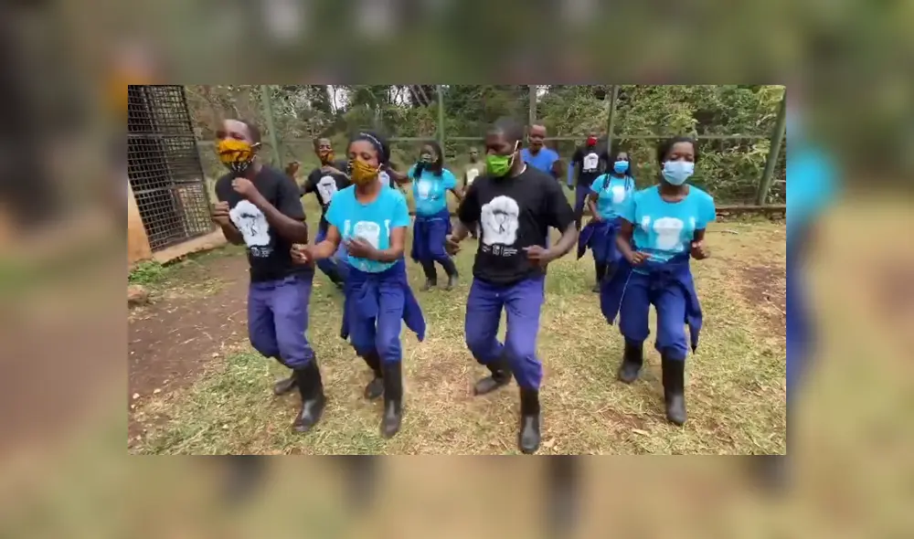 El grupo de trabajadores realizaron un divertido baile con mascarillas para evitar contagiar a los animales que habían en el lugar. Foto: Facebook