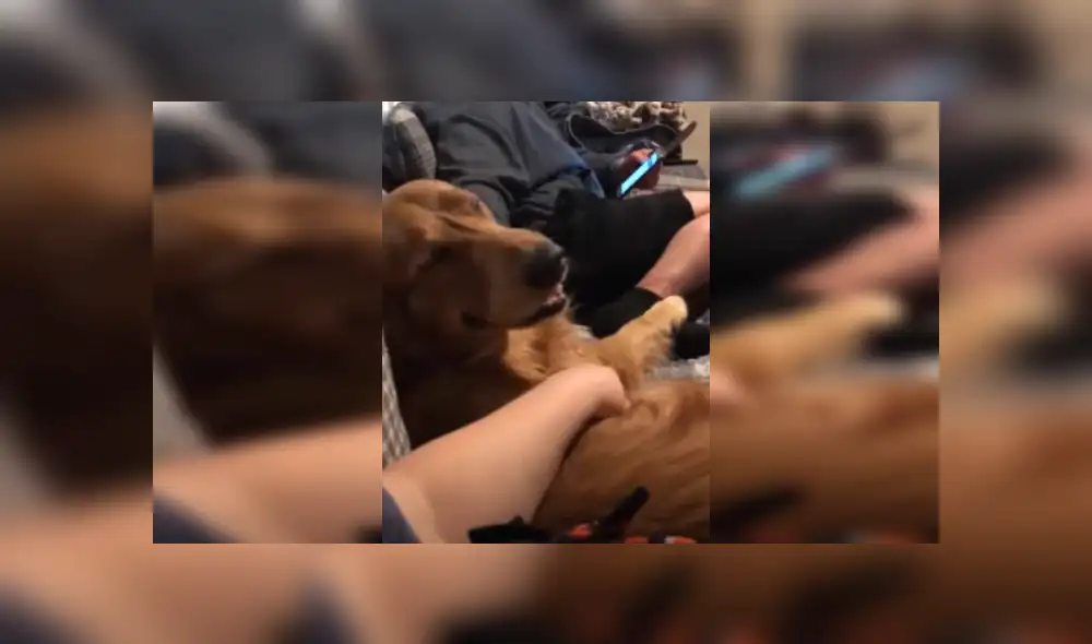 Desliza las imágenes para ver más detalles sobre esta escena que es viral en Facebook.