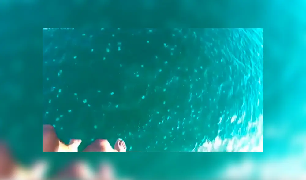 El video viral de Facebook muestra el momento en que los turistas se toparon con las venenosas criaturas que estaban dentro del mar.