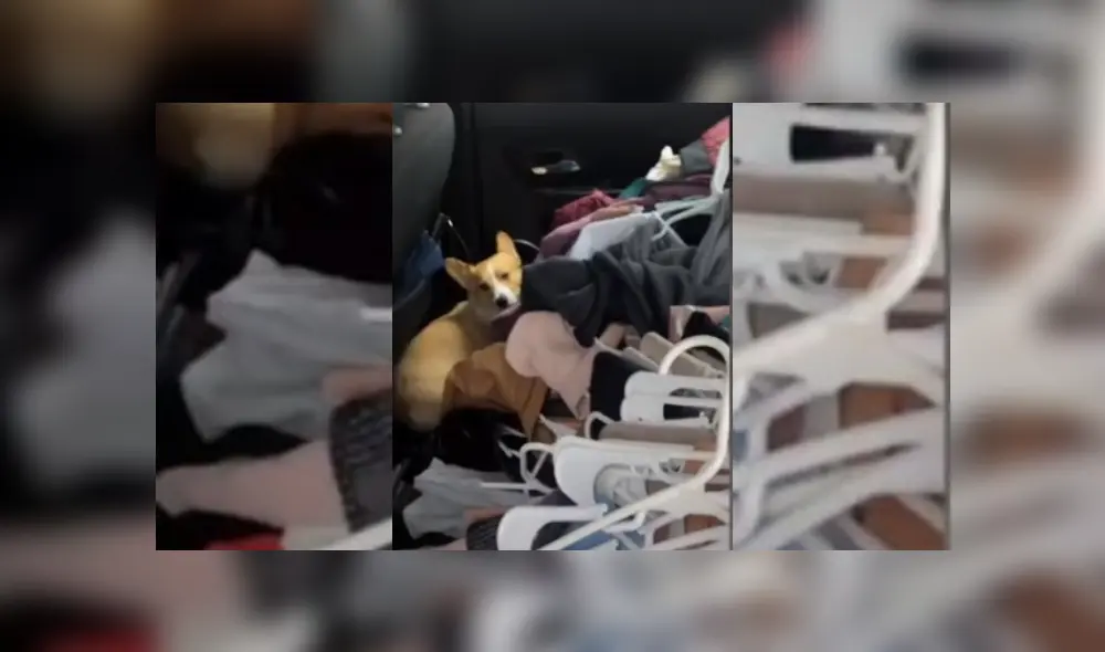 Desliza hacia la izquierda para ver más del video viral. Fotocaptura: YouTube