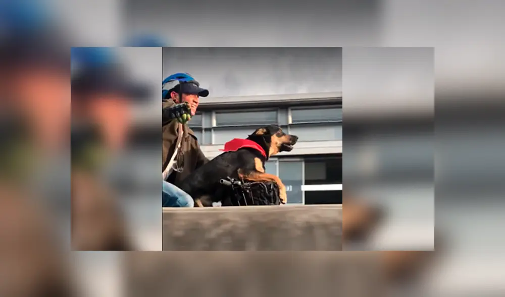 Desliza a la izquierda para ver más sobre este nuevo viral de Facebook. Foto: Captura.