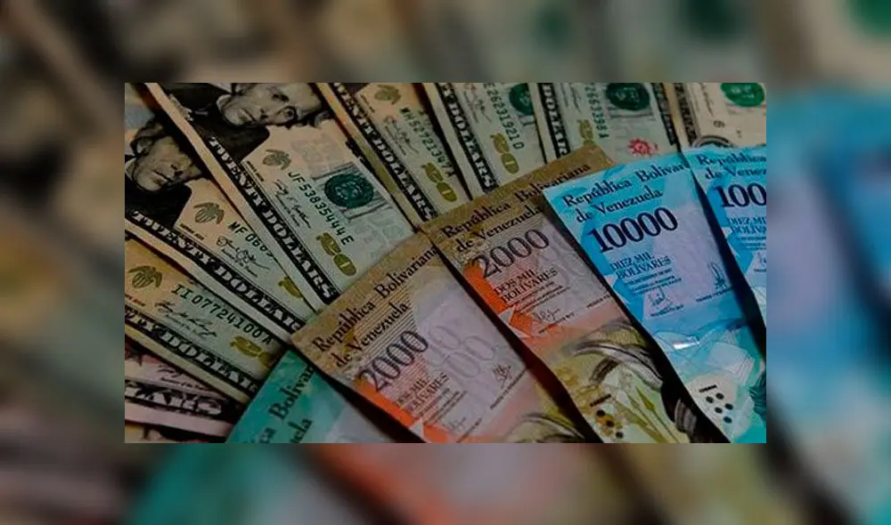 Dólar en Venezuela. Foto: difusión. Dólar en Venezuela. Foto: difusión.