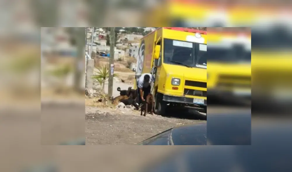 Desliza para ver más imágenes de este hombre de buen corazón, que ayuda a cada perrito de la calle. (Foto: Facebook)