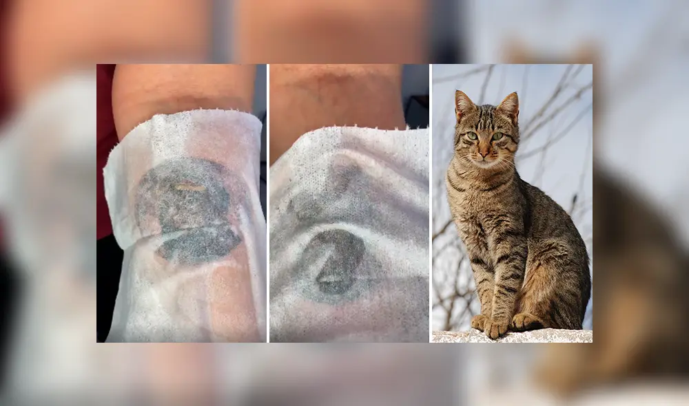 Desliza las imágenes hacia la izquierda para apreciar el increíble resultado que se hizo un joven en el brazo alusivo a su gato. Desliza las imágenes hacia la izquierda para apreciar el increíble resultado que se hizo un joven en el brazo alusivo a su gato.