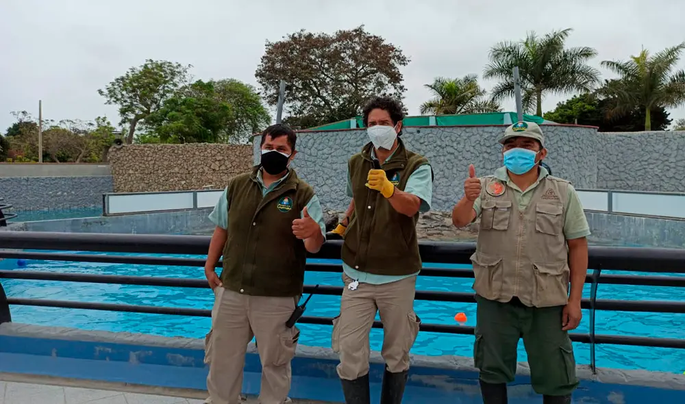 Cuidadores en el Parque de las Leyendas trabajan día a día en favor de los animales. Foto: Deysi Portuguez/ URPI-GLR