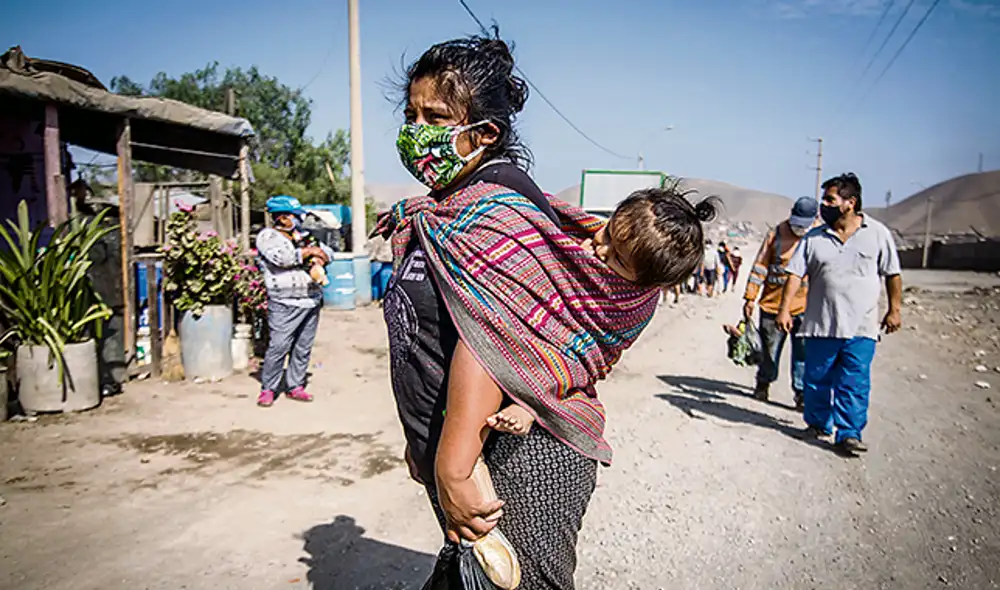 criadero chanchos coronavirus covid-19 cerdos criadero chanchos coronavirus covid-19 cerdos