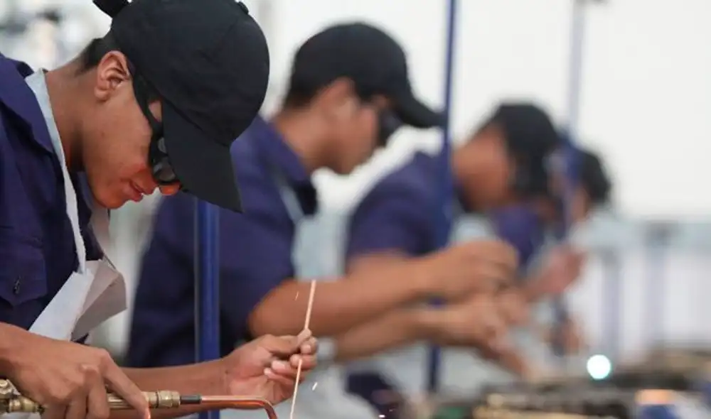 Economía cae 11,71%, pero menos empleos se pierden Economía cae 11,71%, pero menos empleos se pierden