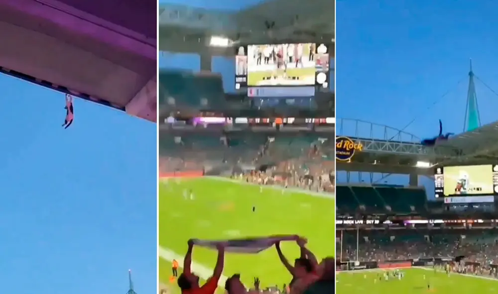 Este hecho sucedió en un estadio de Estados Unidos. Foto: composición LR / Instagram / @catsloveraddicted