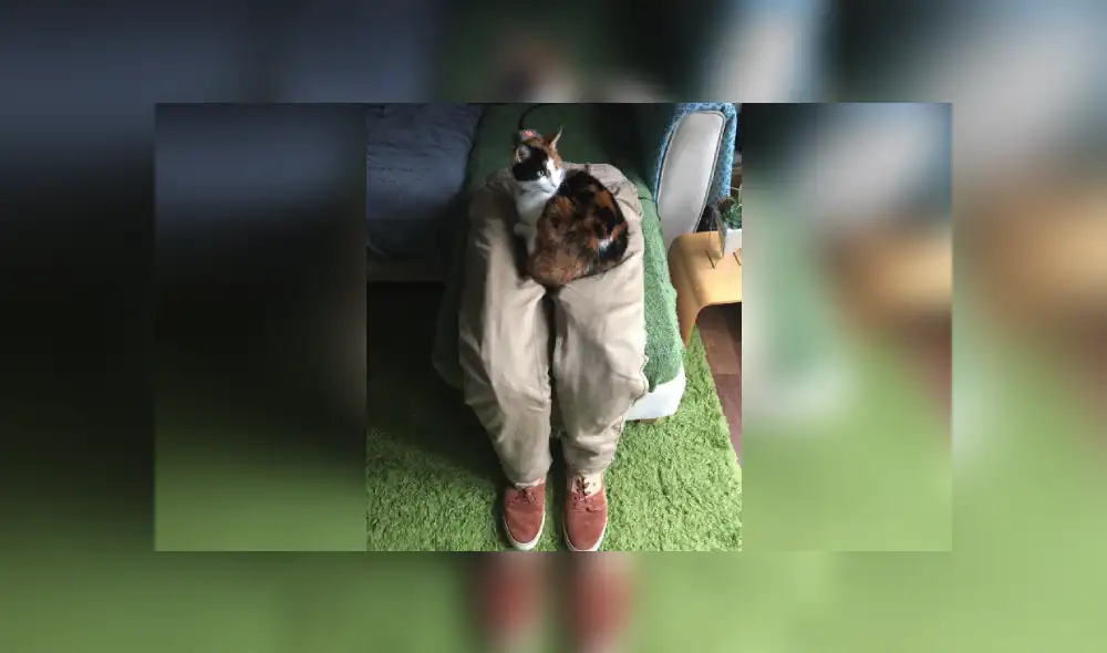 Desliza hacia la izquierda para ver más imágenes de esta escena que se hizo viral en Facebook. Desliza hacia la izquierda para ver más imágenes de esta escena que se hizo viral en Facebook.