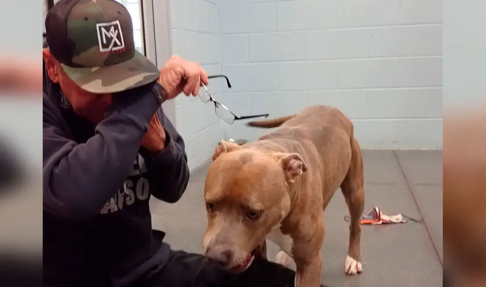 Desliza las imágenes para apreciar el conmovedor momento en que un hombre volvió a ver a su perro. Foto: Captura de Facebook