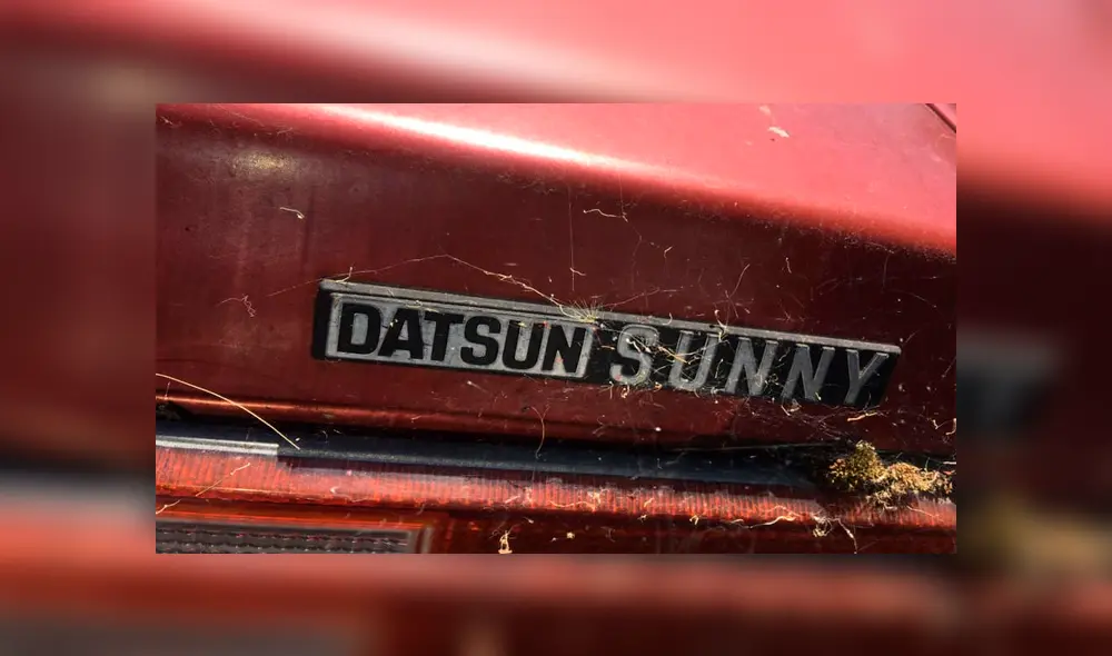 Desliza para ver el desenlace de este video viral de YouTube. Foto: Captura.