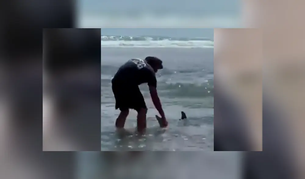 Facebook viral: encuentra tiburón varado en la playa, lo regresa al mar y este revive de forma milagrosa Facebook viral: encuentra tiburón varado en la playa, lo regresa al mar y este revive de forma milagrosa