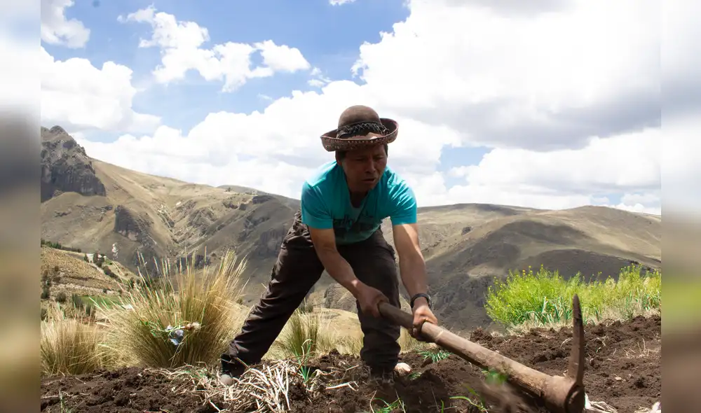 Conveagro: La COVID-19 genera la quiebra económica y productiva del sector agroalimentario