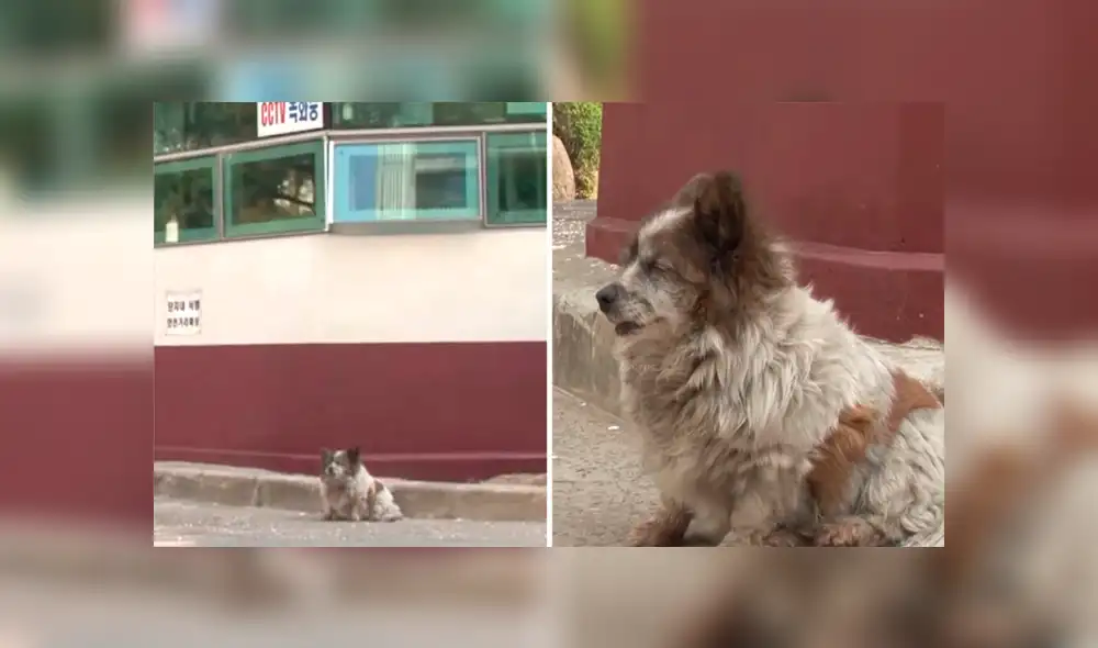 Desliza para ver detalles de esta historia que se viralizó en Facebook. Foto: Captura.