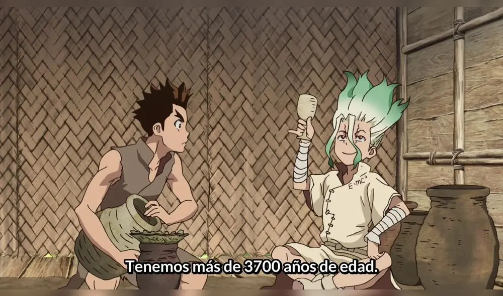 Dr. Stone
