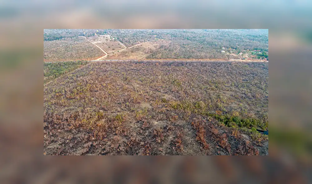 Incendio en Amazonía