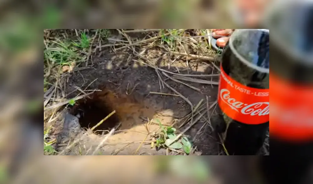 Desliza hacia la izquierda para ver el hallazgo que hizo un pescador y se volvió viral en YouTube.