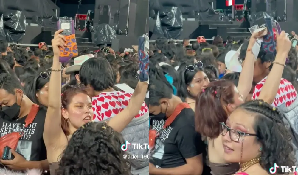 Este hecho sucedió en Perú. Foto: composición LR / TikTok / @adel_190701