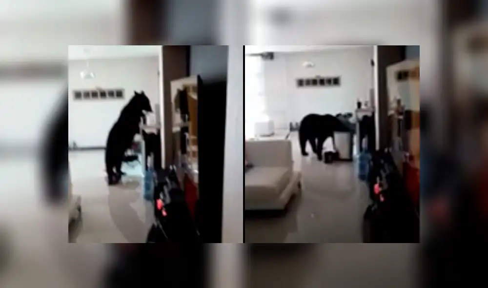 Desliza la imagen de YouTube para ver todas las imágenes.